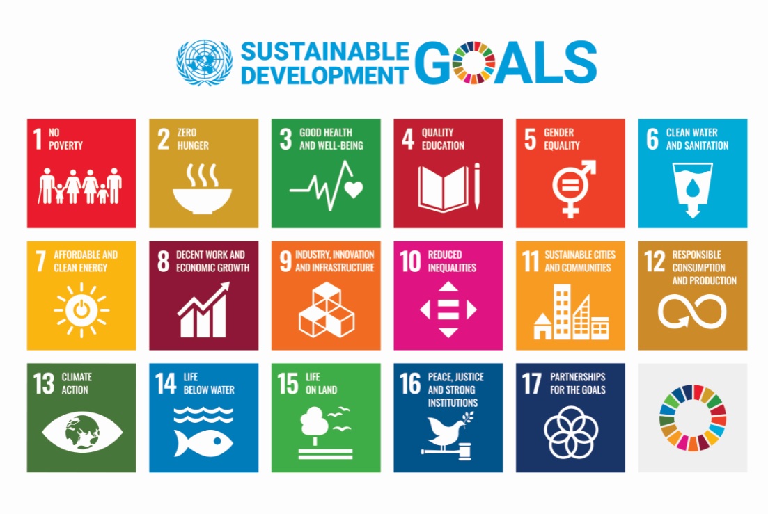 SUSTAINABLE DEVELOPEMENT GOALS